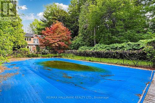 Remarkably private backyard. - 40 Donino Avenue, Toronto, ON 