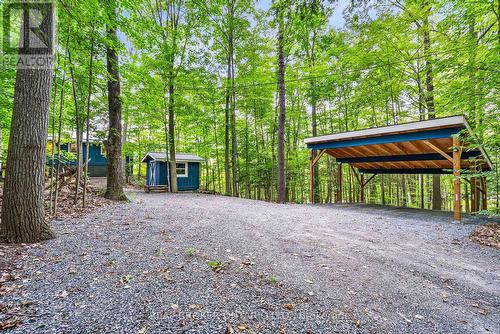 1197B James Wilson Road, Frontenac (Frontenac South), ON 