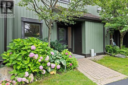 156 Escarpment Crescent, Collingwood, ON 