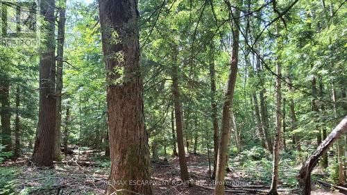 5822 Line 8 N, Oro-Medonte, ON 