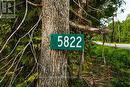 5822 Line 8 N, Oro-Medonte, ON 