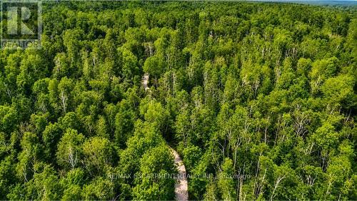 5822 Line 8 N, Oro-Medonte, ON 