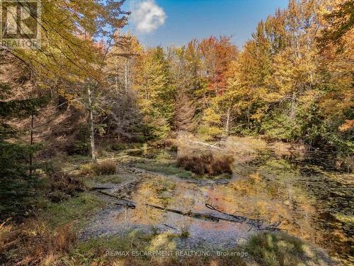 5822 Line 8 N, Oro-Medonte, ON 