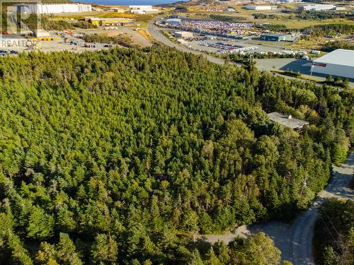 29 Walsh'S Road, Logy Bay - Middle Cove - Outer Cove, NL 