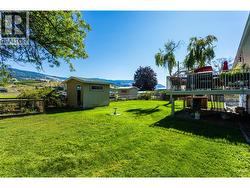 Back Yard - 