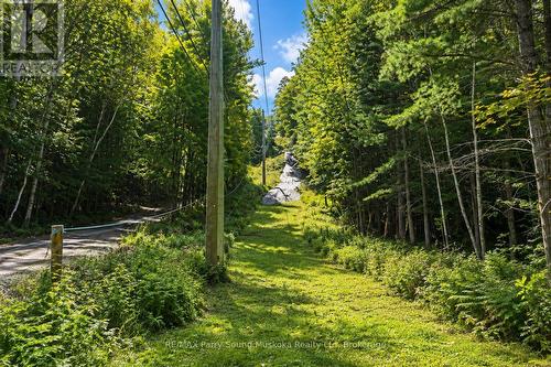 Ski hill - 78 124 Highway, Mcdougall, ON 