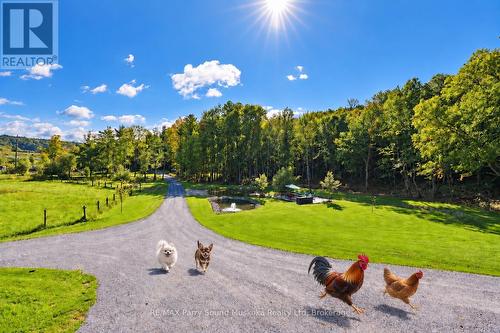78 124 Highway, Mcdougall, ON 