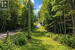 Ski hill - 