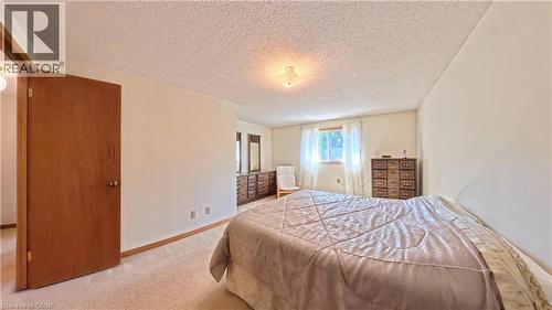 Carpeted flooring, neutral wall tones, and a window with natural light - 56 Scenic Wood Crescent, Kitchener, ON 
