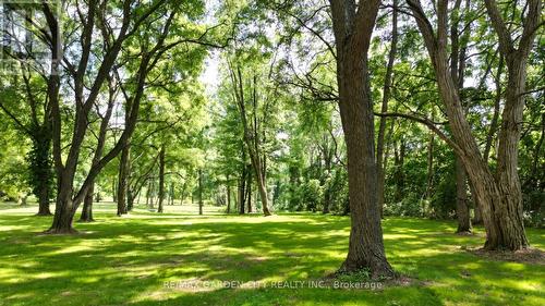 130 5Th Con Road E, Hamilton, ON 