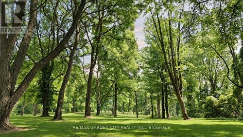 130 5Th Con Road E, Hamilton, ON 