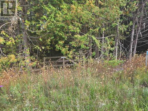 349749 4Th Concession B, Grey Highlands, ON 