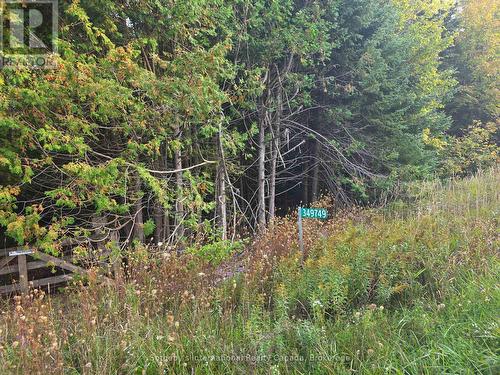 349749 4Th Concession B, Grey Highlands, ON 