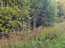 349749 4Th Concession B, Grey Highlands, ON 