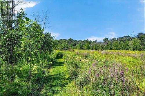 3486 Torbolton Ridge Road, Ottawa, ON 