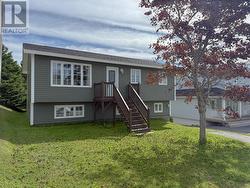 18 Mountainview Road Massey Drive, NL None
