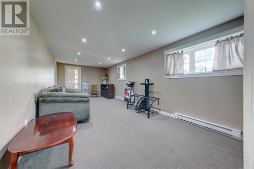 18 Mountainview Road, Massey Drive, NL 