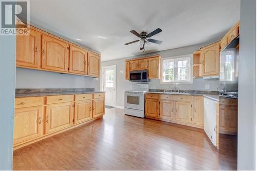 18 Mountainview Road, Massey Drive, NL 