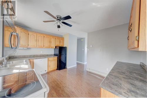 18 Mountainview Road, Massey Drive, NL 