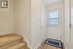 Wood-finish flooring at entry - 