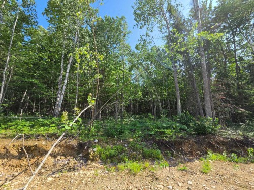 Boisé - Rue Jean-Marc, Sainte-Émélie-De-L'Énergie, QC 