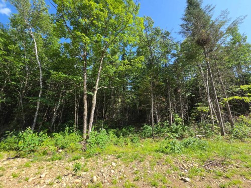Boisé - Rue Jean-Marc, Sainte-Émélie-De-L'Énergie, QC 