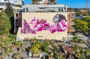 #505-1030 Yates St, Victoria, BC 