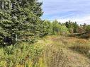 11934 Highway 17, Thessalon, ON 