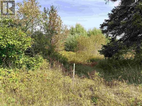 11934 Highway 17, Thessalon, ON 