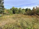 11934 Highway 17, Thessalon, ON 