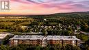 316 - 121 Mary Street, Clearview (Creemore), ON 
