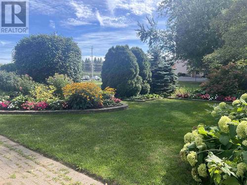 99 Pine St # 507, Sault Ste. Marie, ON 