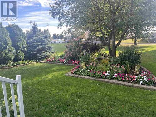 99 Pine St # 507, Sault Ste. Marie, ON 