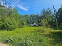 836 Lot 39 Indian Point Road, Kawartha Lakes (Bexley), ON 