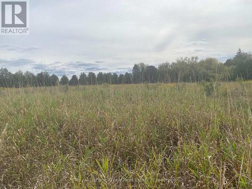 4381 Stouffville Road, Whitchurch-Stouffville, ON 