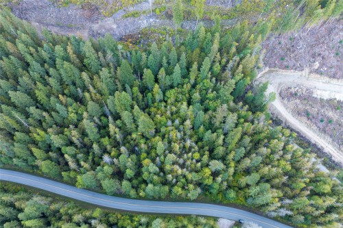 1937 Lumby Mabel Lake Road, Lumby, BC 