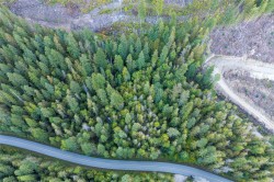 1937 Lumby Mabel Lake Road Lumby, BC V0E 2G6