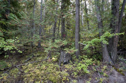1937 Lumby Mabel Lake Road, Lumby, BC 