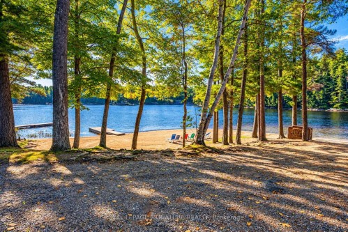 80 Shebeshekong Road, Carling, ON 