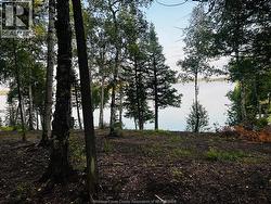 7 SOAPSTONE POINT ROAD Dryden, ON P8N 2Y4