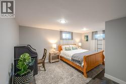 Basement bedroom - 