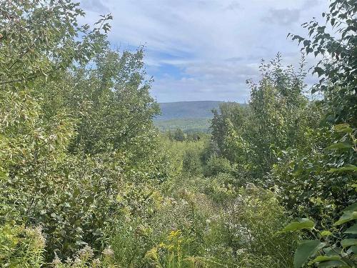 0 Cabot Trail, Cape North, NS 