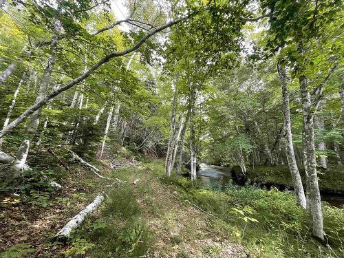 0 Cabot Trail, Cape North, NS 
