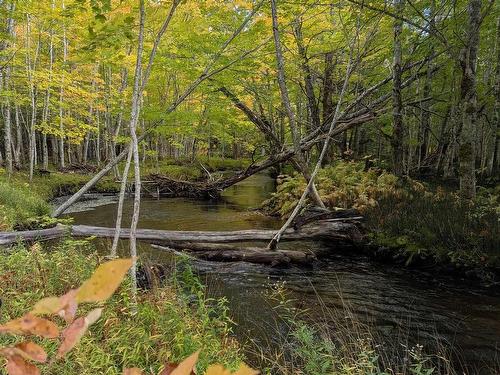 0 Cabot Trail, Cape North, NS 