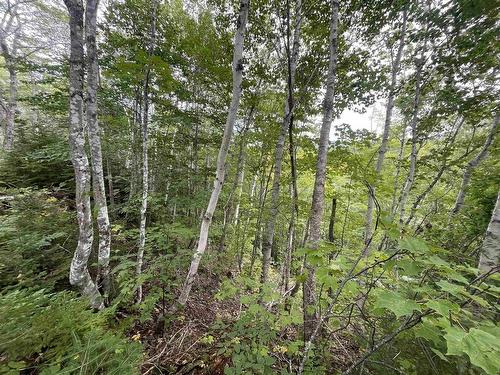 0 Cabot Trail, Cape North, NS 