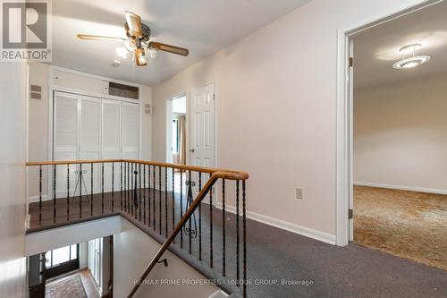 173 Ridley Boulevard, Toronto, ON 