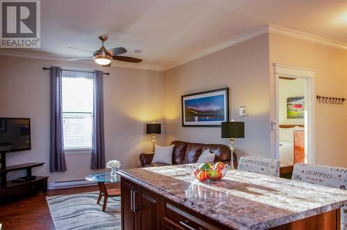 17 Livingstone Street, St. John'S, NL 