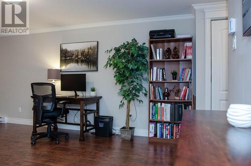 17 Livingstone Street, St. John'S, NL 