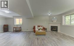 Lower level (walkout basement) living room - 
