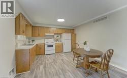 Lower level (walkout basement) - 